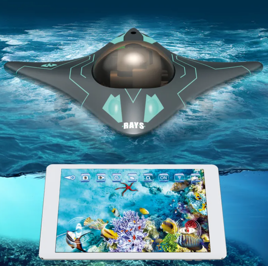 Remote-Controlled Boat with Underwater Camera