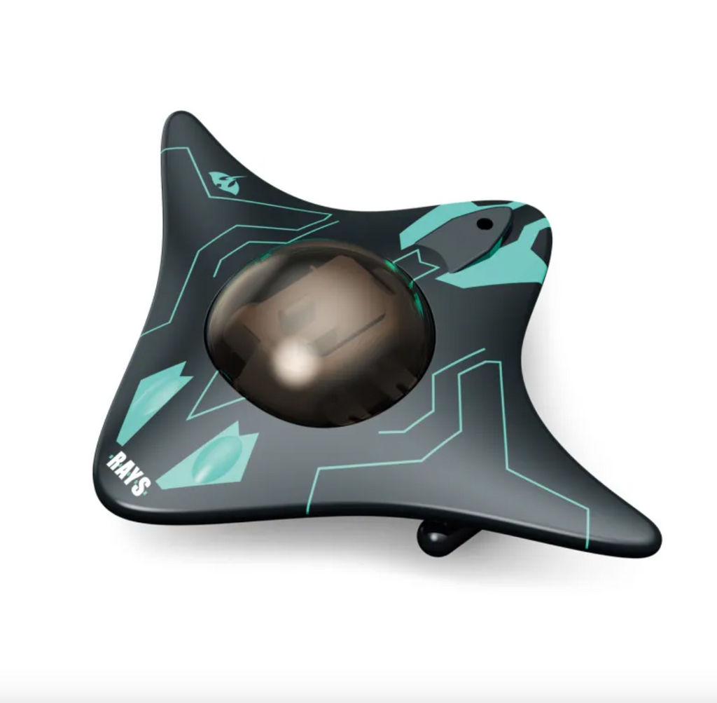 Remote-Controlled Boat with Underwater Camera